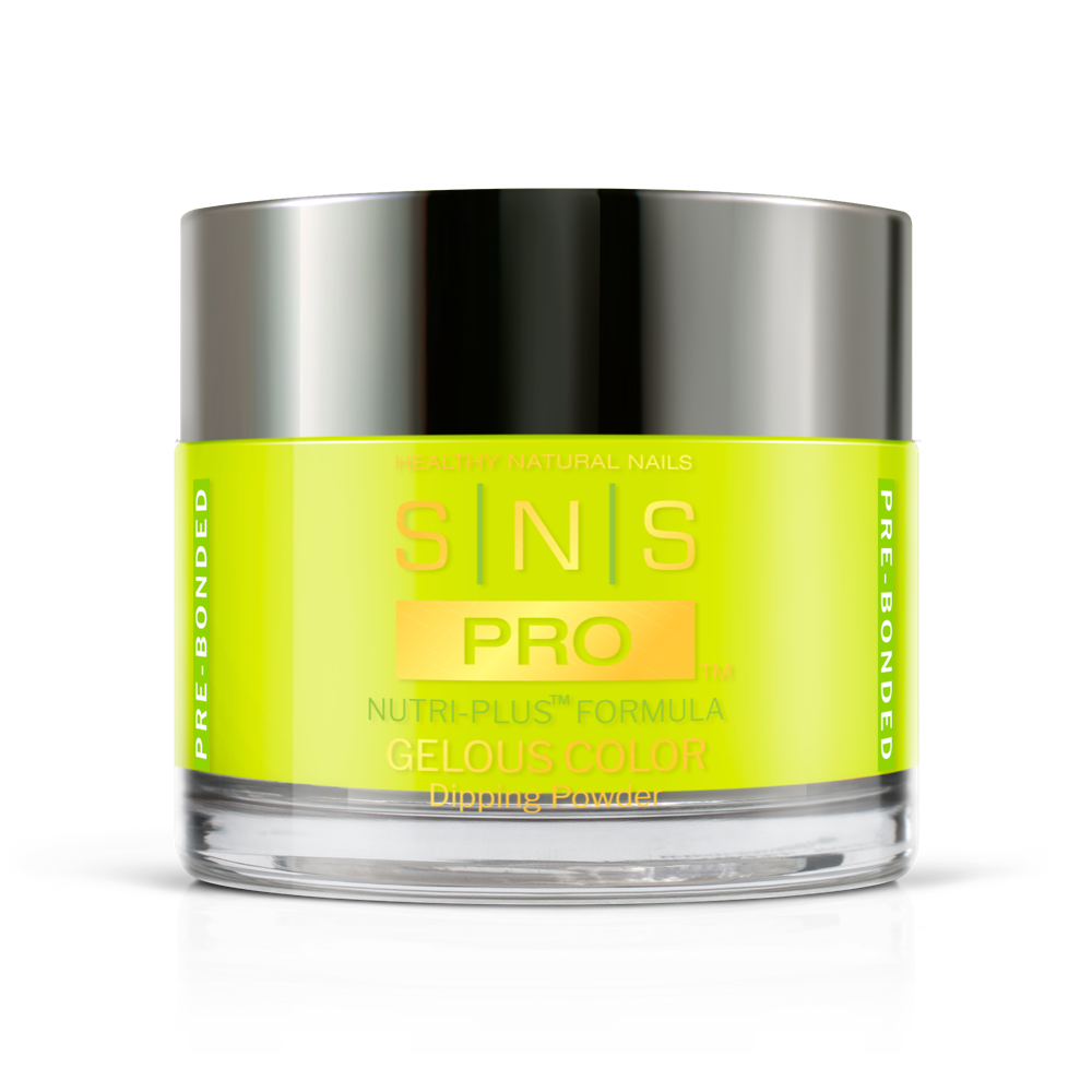 SNS Pro Burgandy Book Collection (097 - 108)